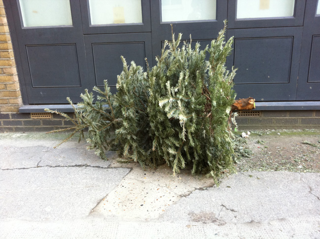 Christmas Tree Disposal Melbourne