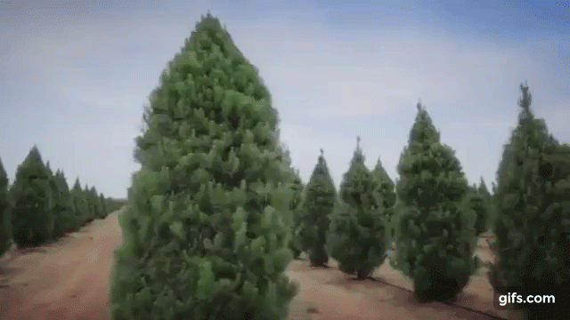 test-gif - small